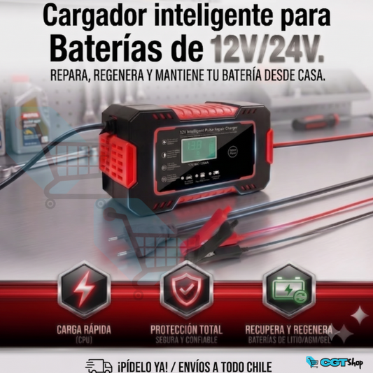 Cargador Inteligente para Baterias 12V/24V
